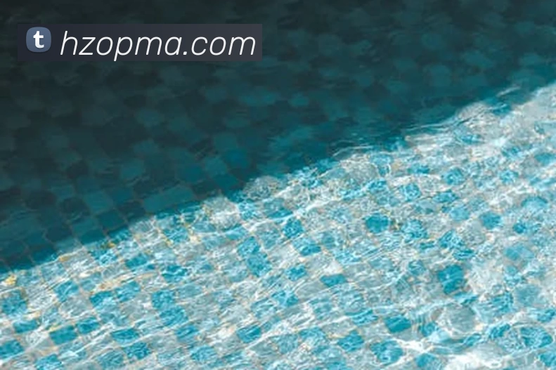 星空体育在线平台登录平台生态图